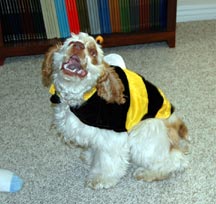 Puppy Bee