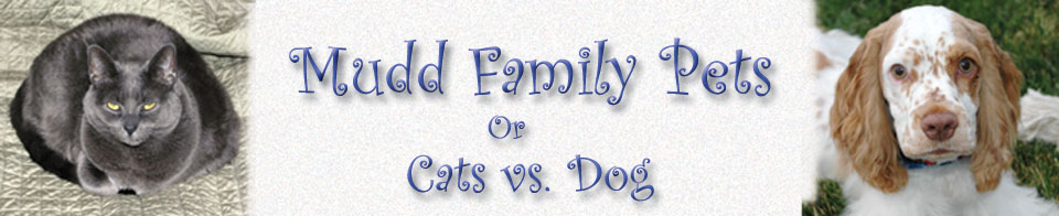 Mudd Family pets page